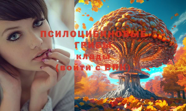 2c-b Белоозёрский