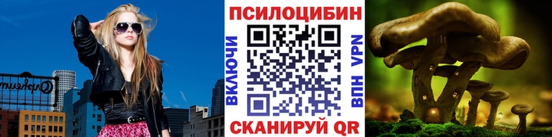 Псилоцибиновые грибы Magic Shrooms  Купить  Каменка 